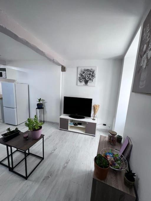 Charmante Maison Renovee Nérac エクステリア 写真