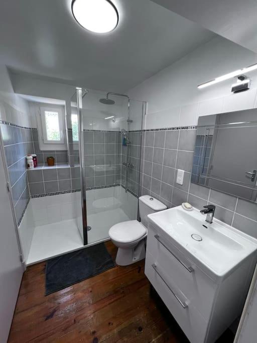 Charmante Maison Renovee Nérac エクステリア 写真