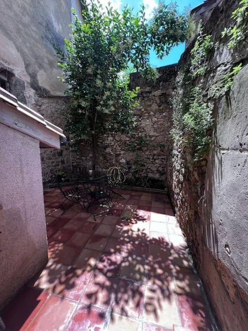 Charmante Maison Renovee Nérac エクステリア 写真